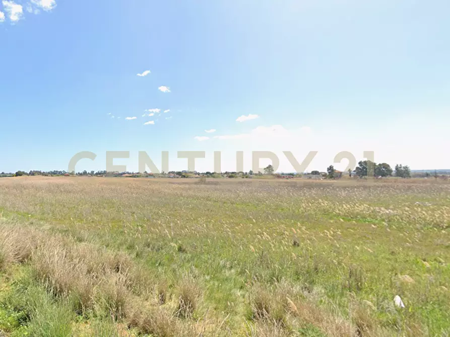 Immagine 5 di Terreno agricolo in vendita  in Via del Fior di Loto 53 a Catania