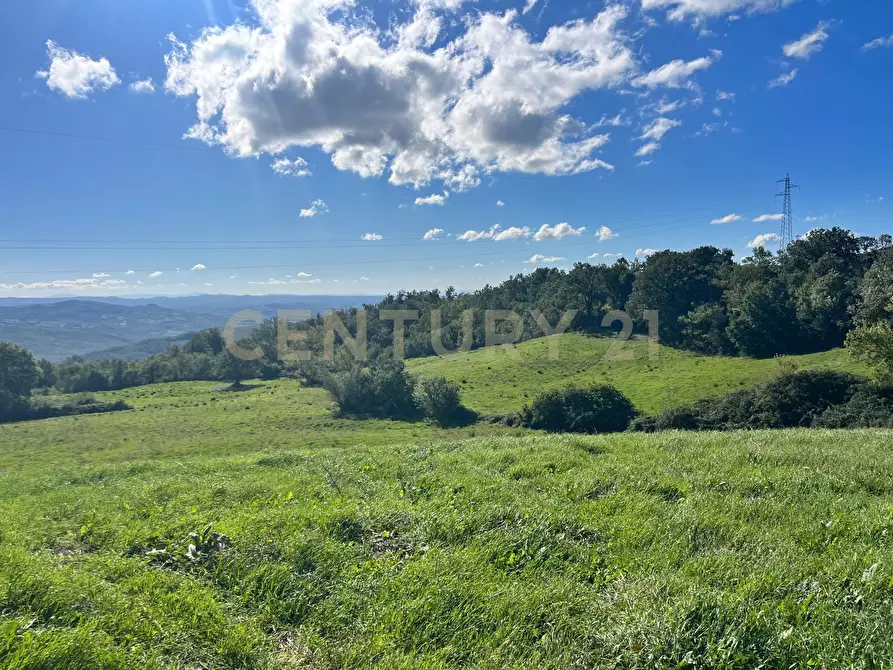 Immagine 9 di Rustico / casale in vendita  in strada vicinale petricci snc a Semproniano
