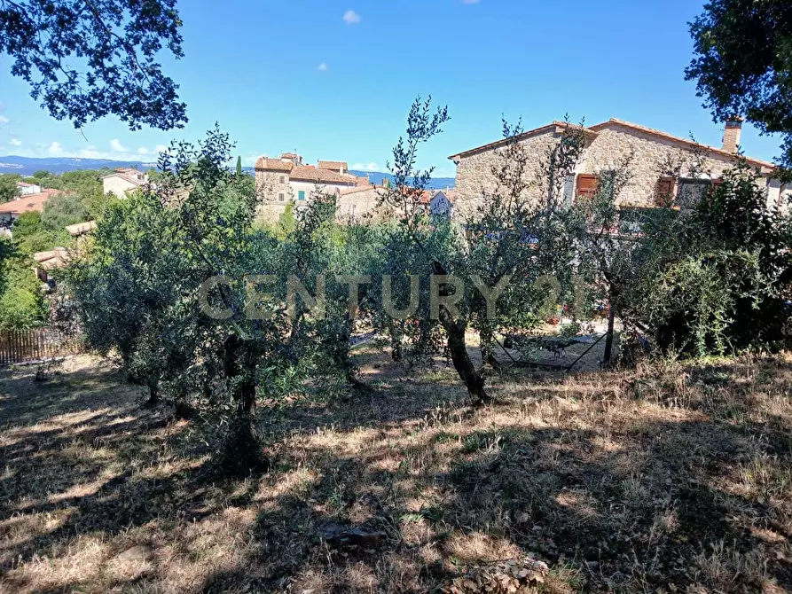 Immagine 39 di Villa in vendita  in Località Poggio Murella 165 a Manciano