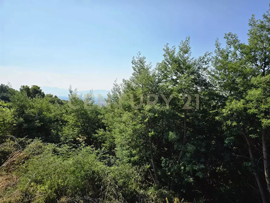 Immagine 9 di Rustico / casale in vendita  in LOCALITA CASETTE a Roccastrada