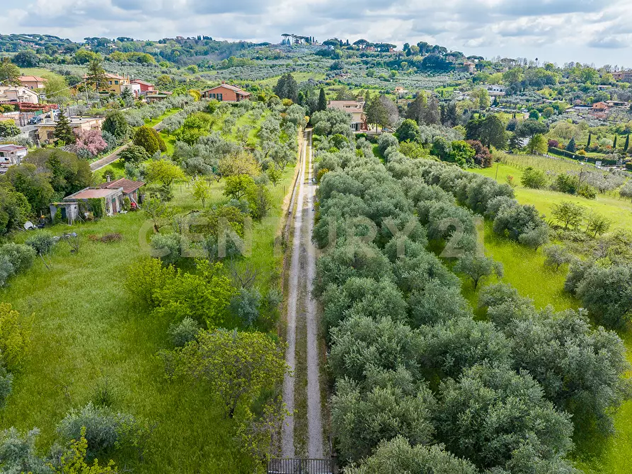 Immagine 14 di Casa indipendente in vendita  in Via di Grotte Maria 67 a Frascati