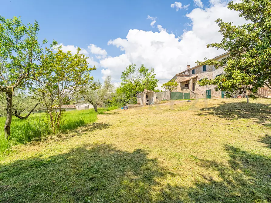 Immagine 22 di Villa in vendita  in Via Colle Sant'Angelo 36 a Serrone