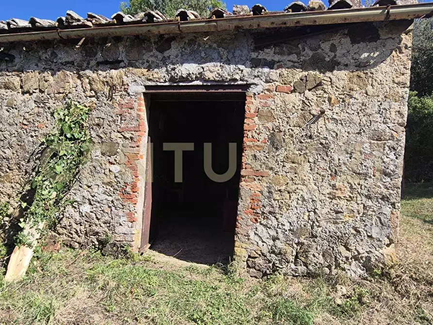 Immagine 3 di Rustico / casale in vendita  in Località Le Fonti a Civitella Paganico