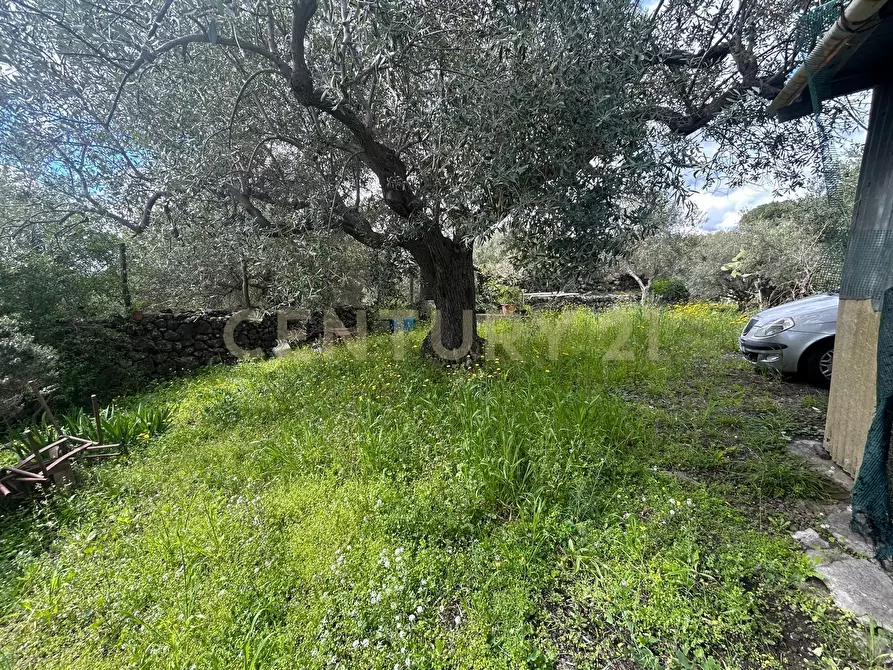 Immagine 2 di Terreno edificabile in vendita  in Viale Giovanni Falcone 9 a Camporotondo Etneo