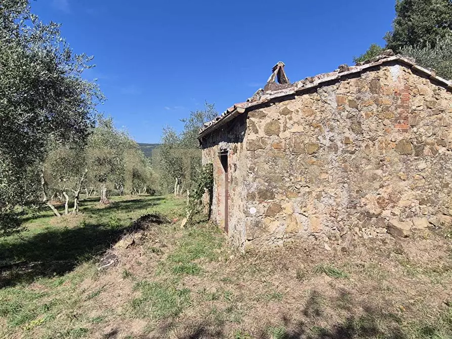 Immagine 5 di Rustico / casale in vendita  in Località Le Fonti a Civitella Paganico