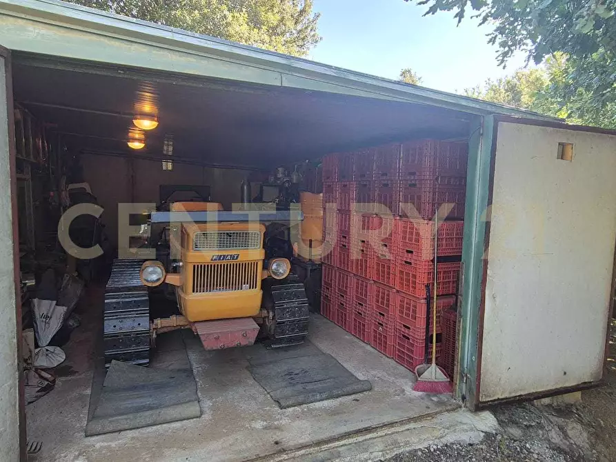 Immagine 36 di Azienda agricola in vendita  in località poggio al capraio snc a Roccastrada