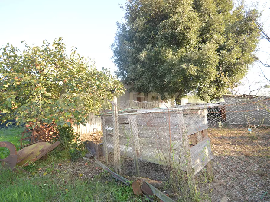 Immagine 4 di Terreno agricolo in vendita  in Strada del Querciolo 125 a Grosseto
