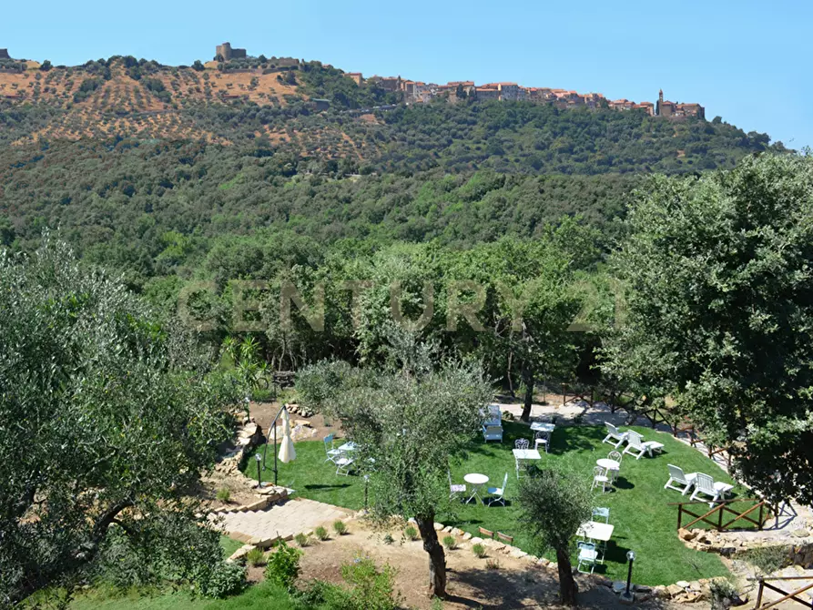 Immagine 30 di Rustico / casale in vendita  in località podere bizzarri a Scarlino