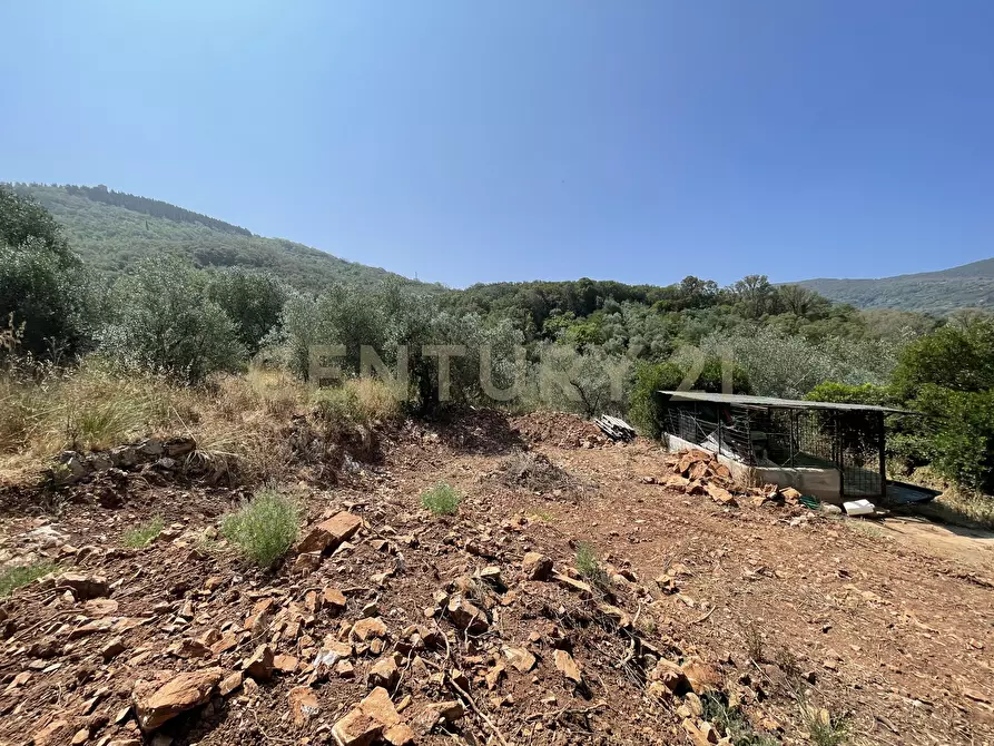 Immagine 8 di Rustico / casale in vendita  in località cannatelli snc a Monte Argentario