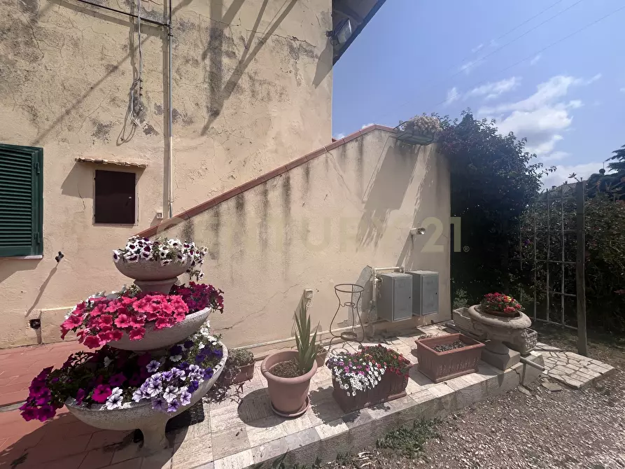 Immagine 4 di Rustico / casale in vendita  in Via Case Sparse a Scansano