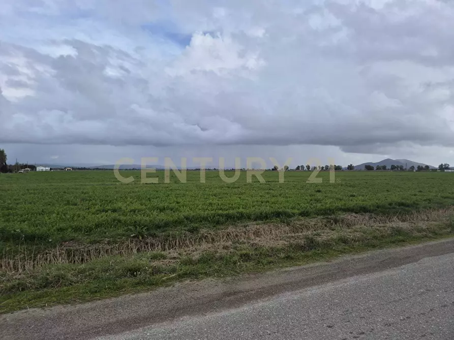 Immagine 49 di Casa indipendente in vendita  in Strada Casal Roberto 37 a Grosseto