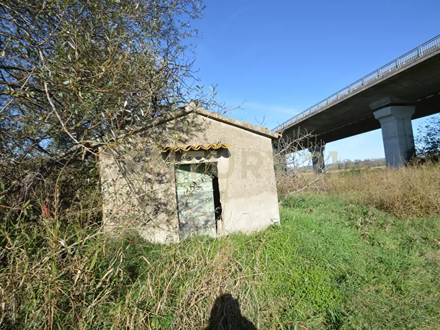 Immagine 11 di Rustico / casale in vendita  in Strada dell'Isolotto a Grosseto