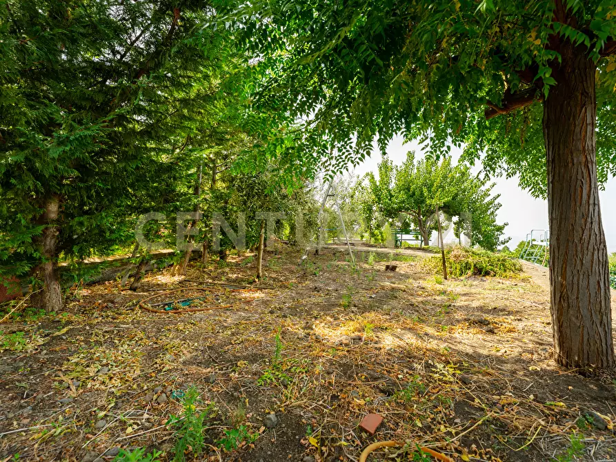 Immagine 24 di Villa in vendita  in Strada Provinciale 158 a Biancavilla