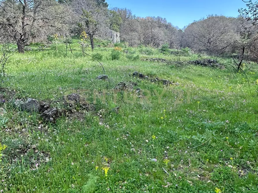 Immagine 15 di Terreno agricolo in vendita  in CONTRADA VIGNE a Biancavilla