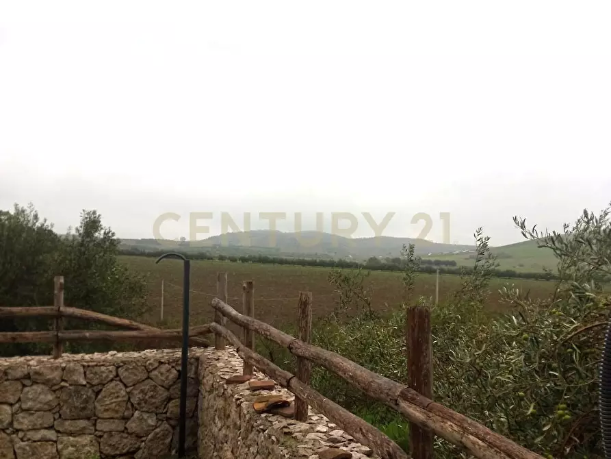 Immagine 10 di Terreno agricolo in vendita  in Contrada Masseria Grande SNC a Centuripe