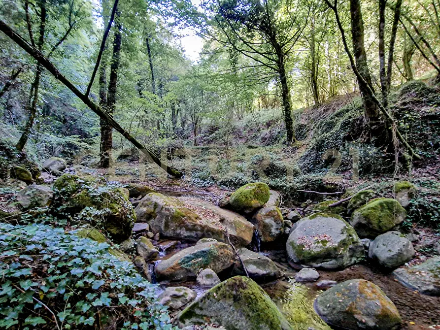 Immagine 41 di Casa indipendente in vendita  in Via della Mengona 32 a Roccastrada