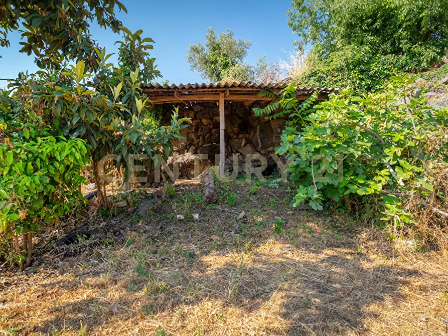Immagine 31 di Rustico / casale in vendita  in Via Castelnuovo Don Bosco 32 a Acireale