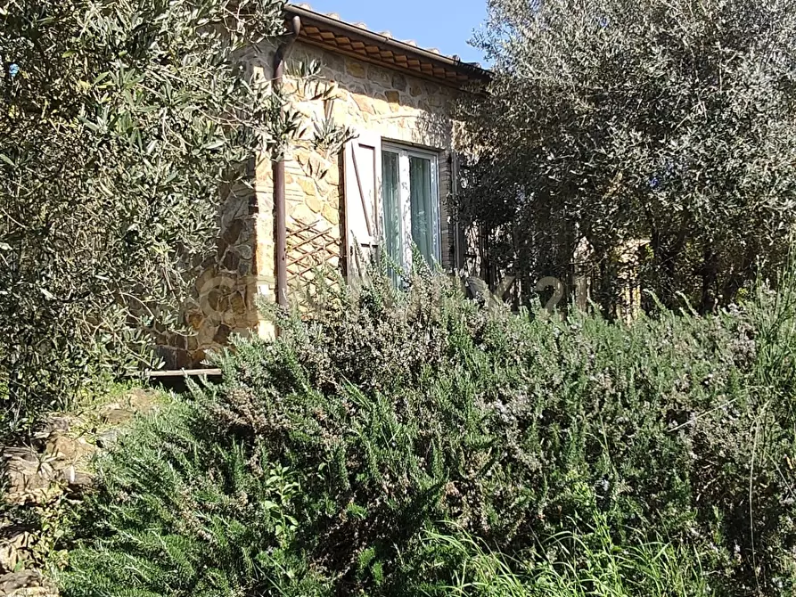 Immagine 22 di Rustico / casale in vendita  in località spinicci snc a Manciano