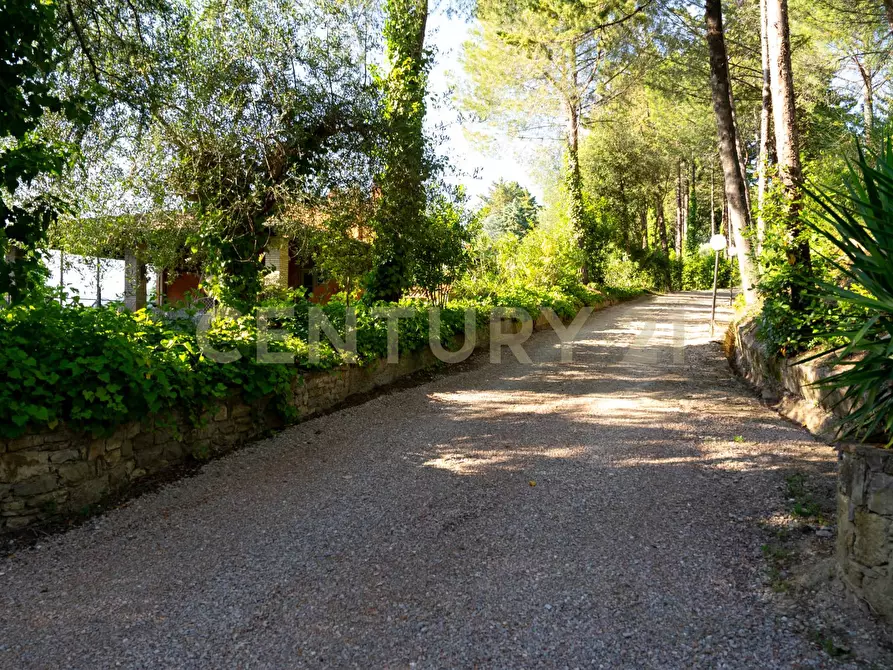 Immagine 94 di Rustico / casale in vendita  a Cinigiano