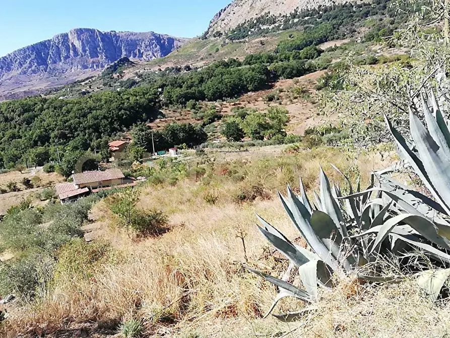 Immagine 8 di Terreno agricolo in vendita  in Contrada Saravulli San Mercurio snc a Piana Degli Albanesi