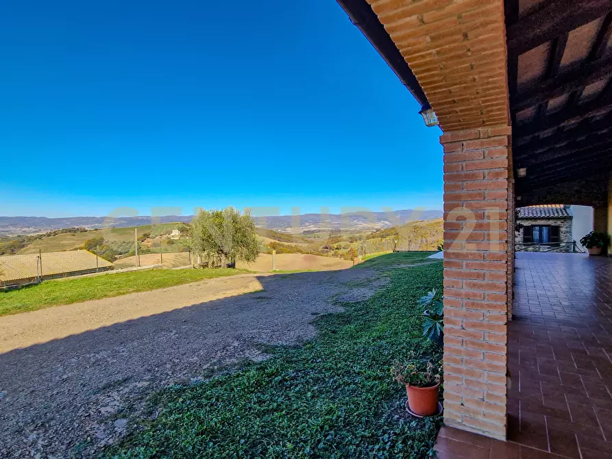 Immagine 26 di Rustico / casale in vendita  in Loc. Poderi di Montemerano a Manciano