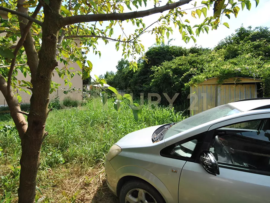 Immagine 10 di Palazzo in vendita  in Via Chiesa 60 a Albaredo D'adige