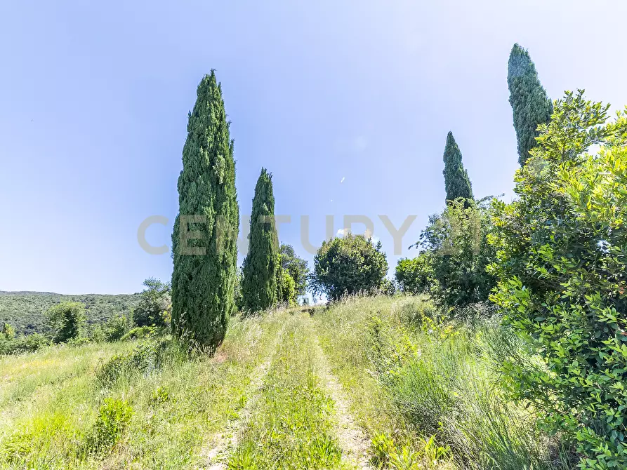 Immagine 30 di Rustico / casale in vendita  in Via Tiberina 384 a Narni