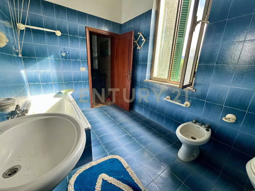 Immagine 24 di Pentalocale in vendita  in località casini a Scansano