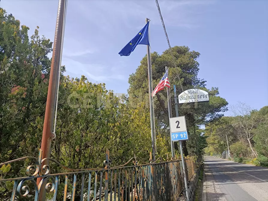 Immagine 44 di Albergo/B&B/Residence in vendita  in Via Etnea 163 a Nicolosi