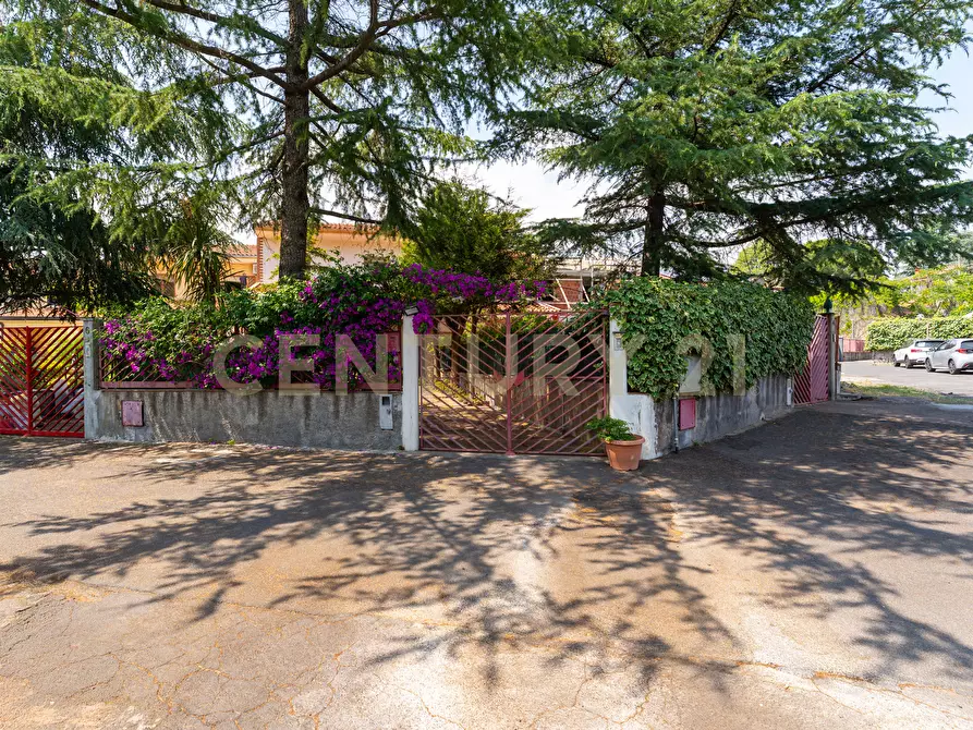 Immagine 33 di Villa in vendita  in Via Libertà 1 a Mascalucia