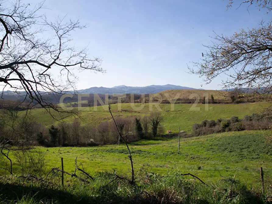 Immagine 3 di Porzione di casa in vendita  a Civitella Paganico