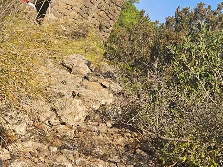 Immagine 23 di Casa indipendente in vendita  in Vicolo del Tufo 12 a Pantelleria