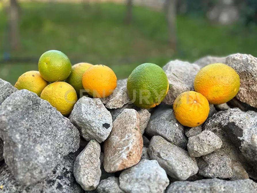 Immagine 17 di Villa in vendita  in Contrada Pirato Cava Maria 47 a Modica