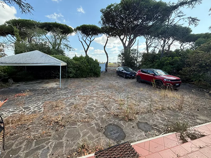 Immagine 11 di Villa in vendita  in via litoranea 528 a Sabaudia