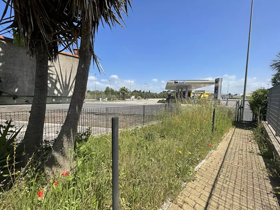 Immagine 22 di Trilocale in vendita  in Via del Parco 3 a Nettuno