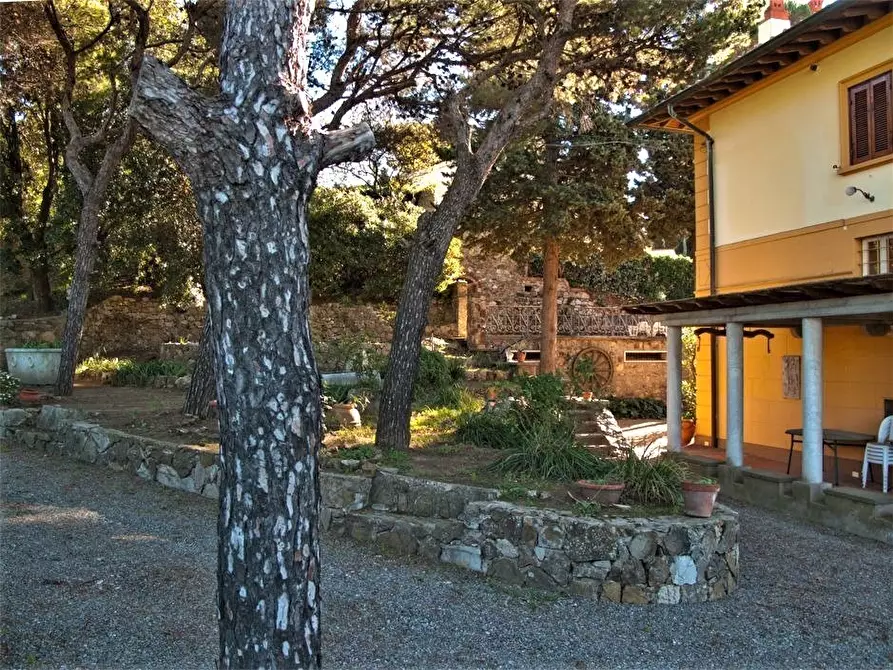 Immagine 15 di Villa in vendita  a Livorno