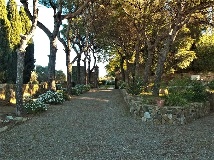 Immagine 11 di Villa in vendita  a Livorno