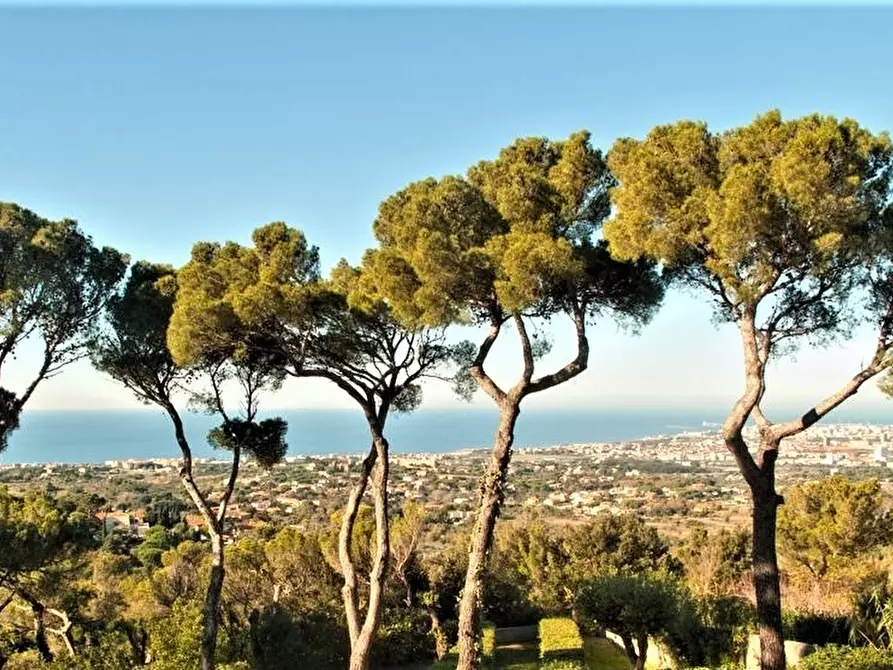 Immagine 17 di Villa in vendita  a Livorno