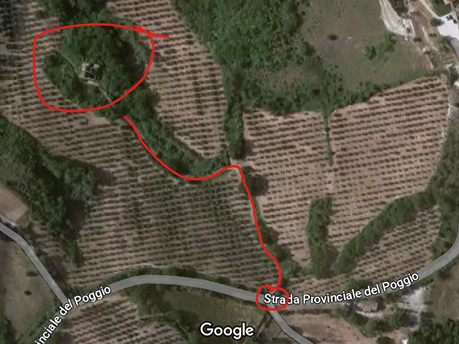 Immagine 14 di Rustico / casale in vendita  in Frazione Poggio a Ancona