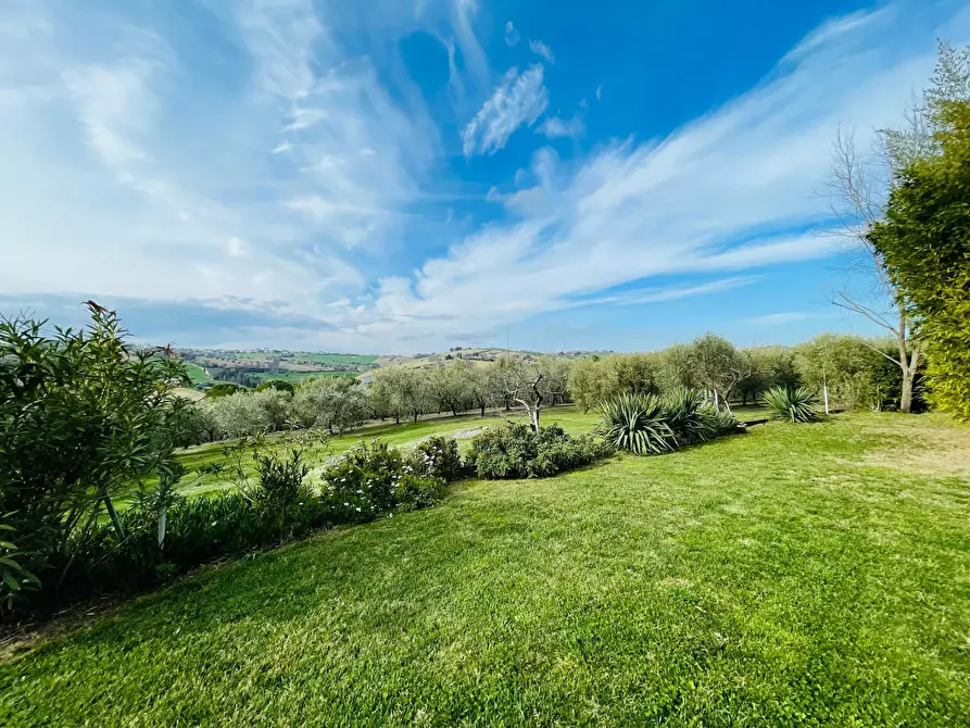 Immagine 11 di Rustico / casale in vendita  in morrovalle a Morrovalle