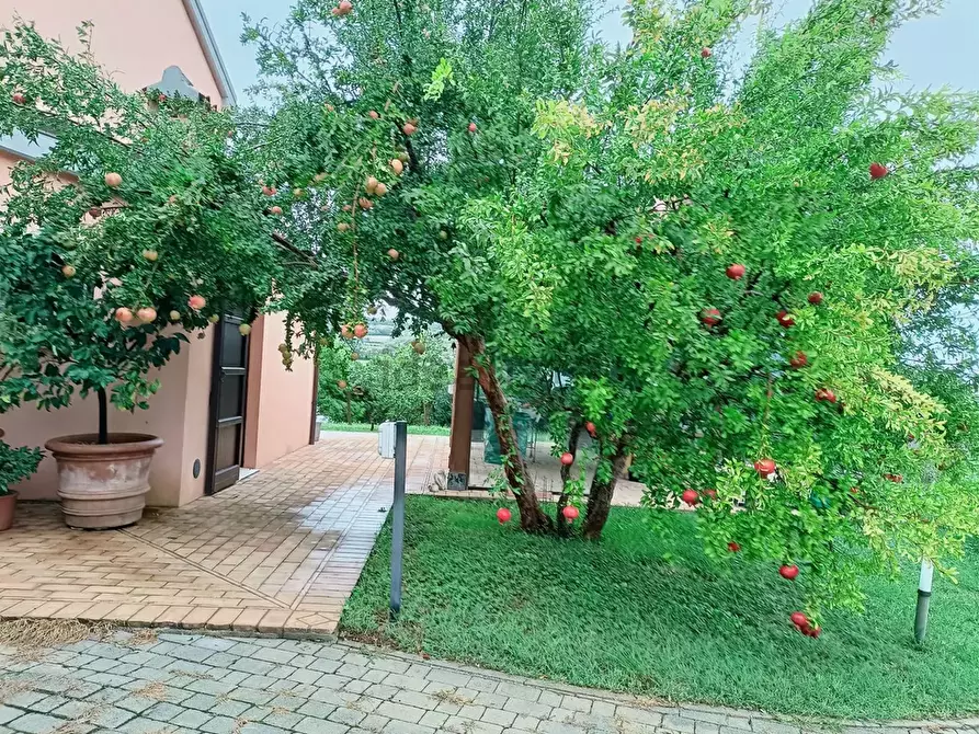 Immagine 35 di Villa in vendita  in Coppo a Sirolo