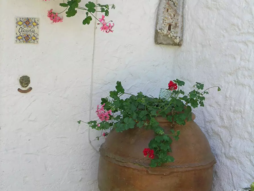 Immagine 12 di Porzione di casa in vendita  in Via delle Rose a Numana