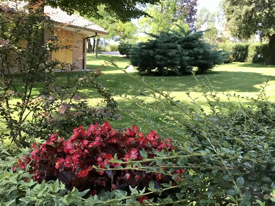Immagine 3 di Porzione di casa in affitto  in Via Barcaglione 23 a Ancona