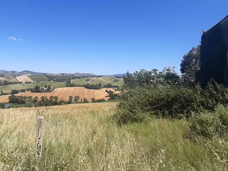 Immagine 6 di Rustico / casale in vendita  in Filottrano a Filottrano