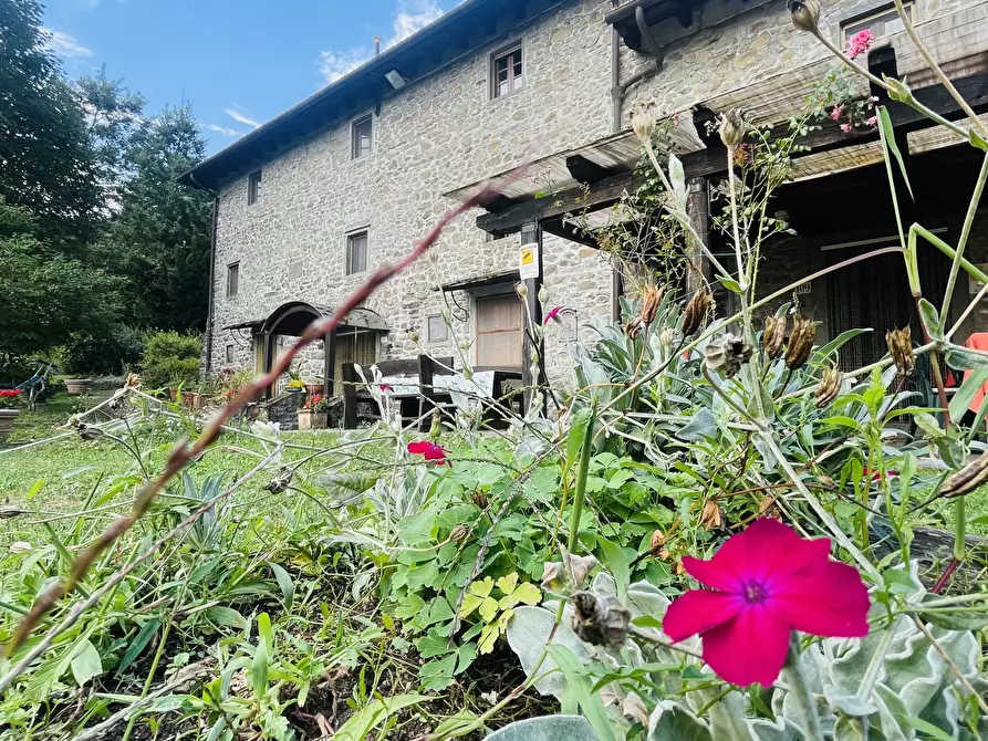 Immagine 9 di Rustico / casale in vendita  in via torri a San Marcello Piteglio