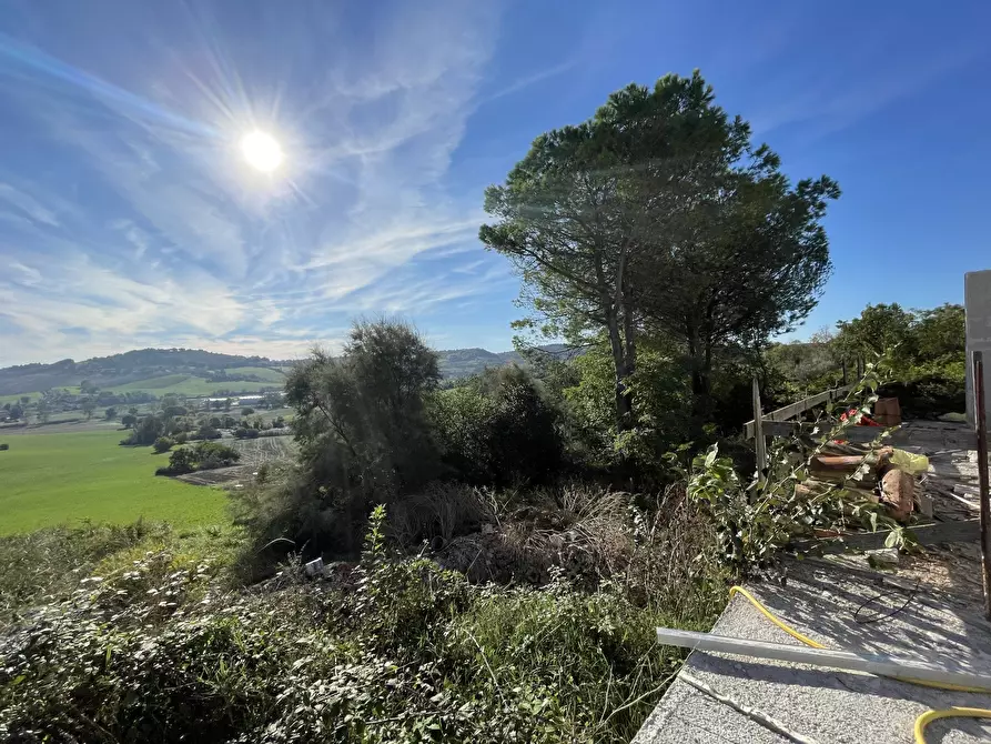 Immagine 17 di Rustico / casale in vendita  in via abbadia a Osimo