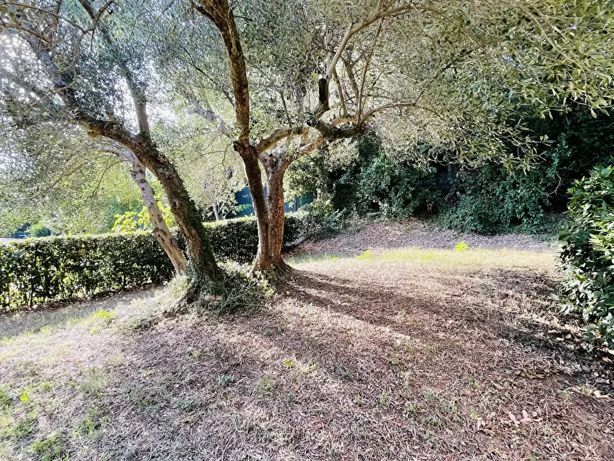 Immagine 7 di Rustico / casale in vendita  in san savino a Montecosaro