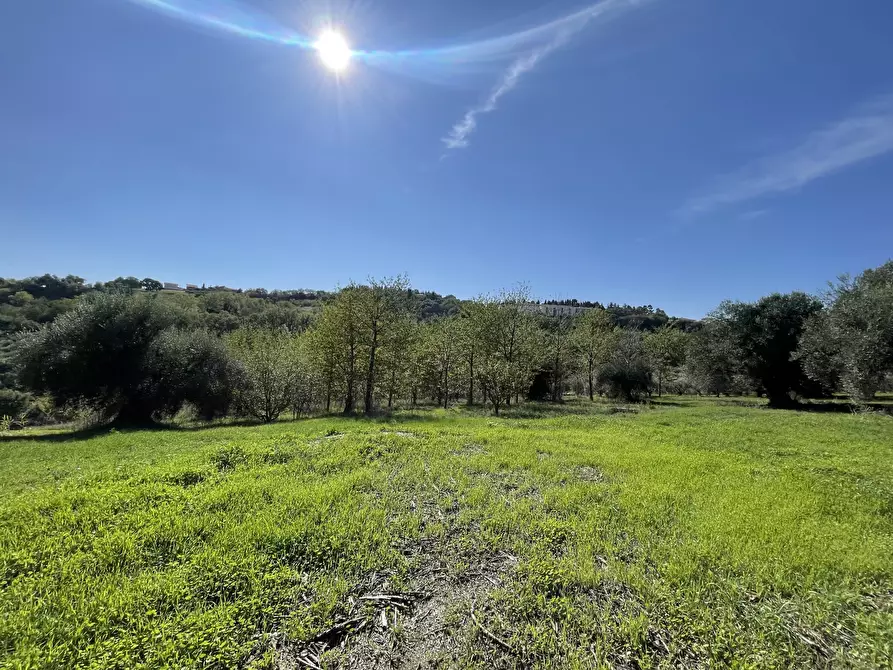 Immagine 7 di Rustico / casale in vendita  in via fontanelle a Porto Sant'elpidio