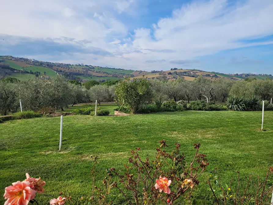 Immagine 15 di Rustico / casale in vendita  in morrovalle a Morrovalle