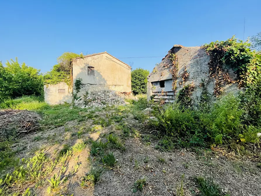 Immagine 5 di Rustico / casale in vendita  in Via Inferno a Camerano
